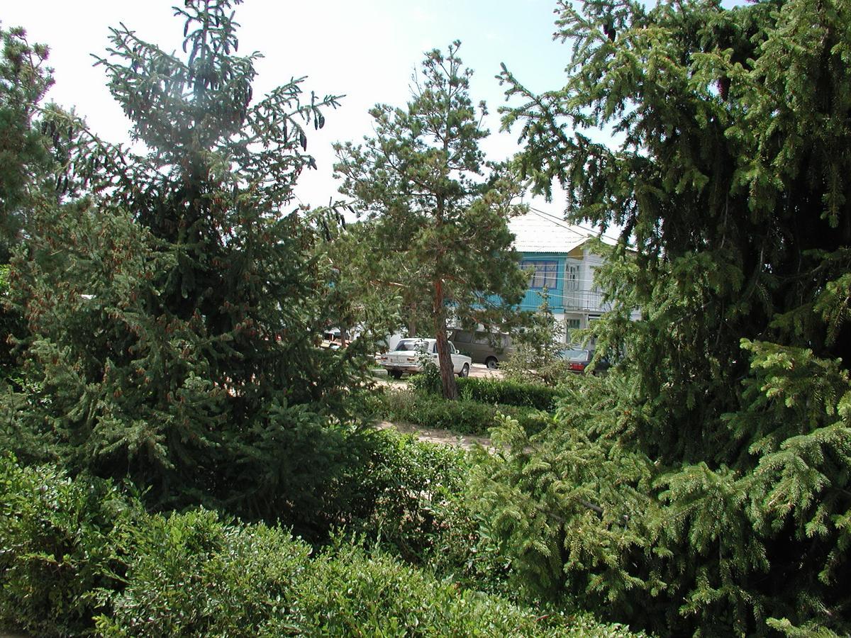 Legenda Health Resort Kaji-Say 外观 照片