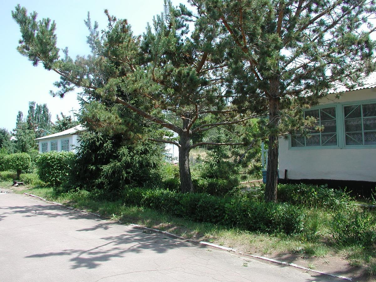 Legenda Health Resort Kaji-Say 外观 照片